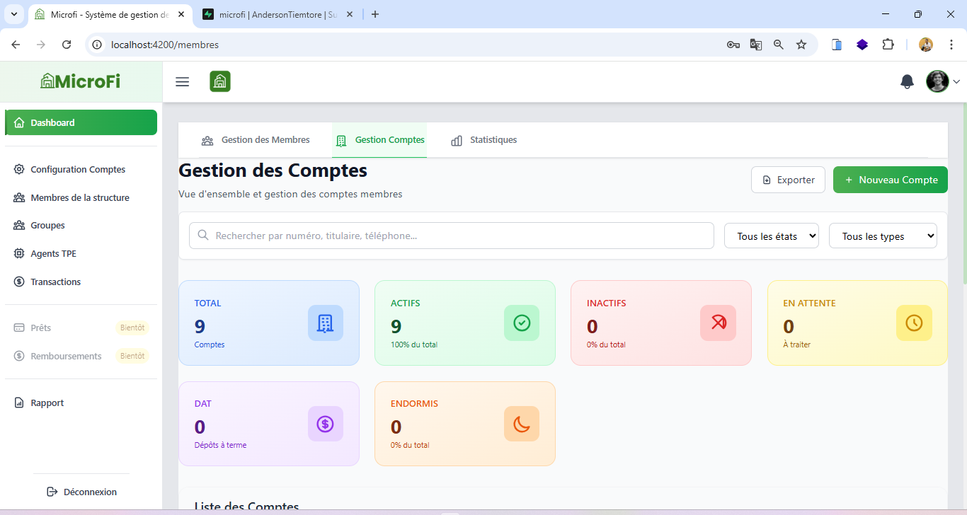 Interface Gestion Microfi
